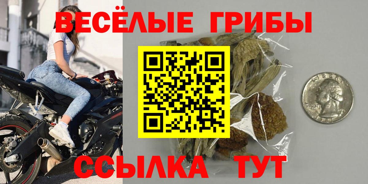 Семилуки  Псилоцибиновые грибы Cubensis  купить  сайты  Вход с VPN  Псилоцибиновые грибы Psilocybe 